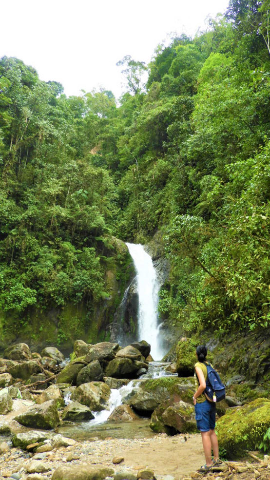 Catarata gallito de las rocas