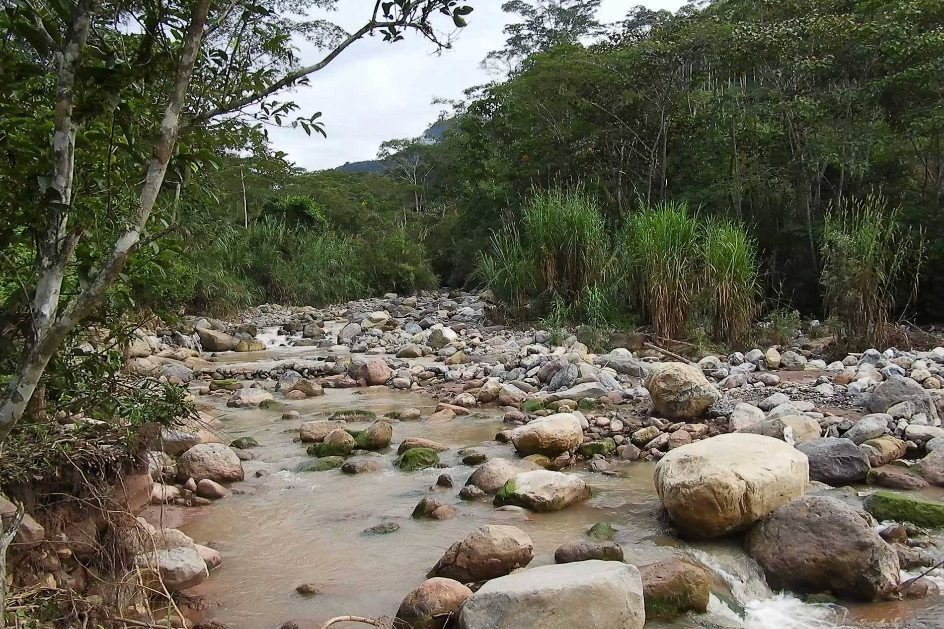 Selva Central: La sal de los cerros