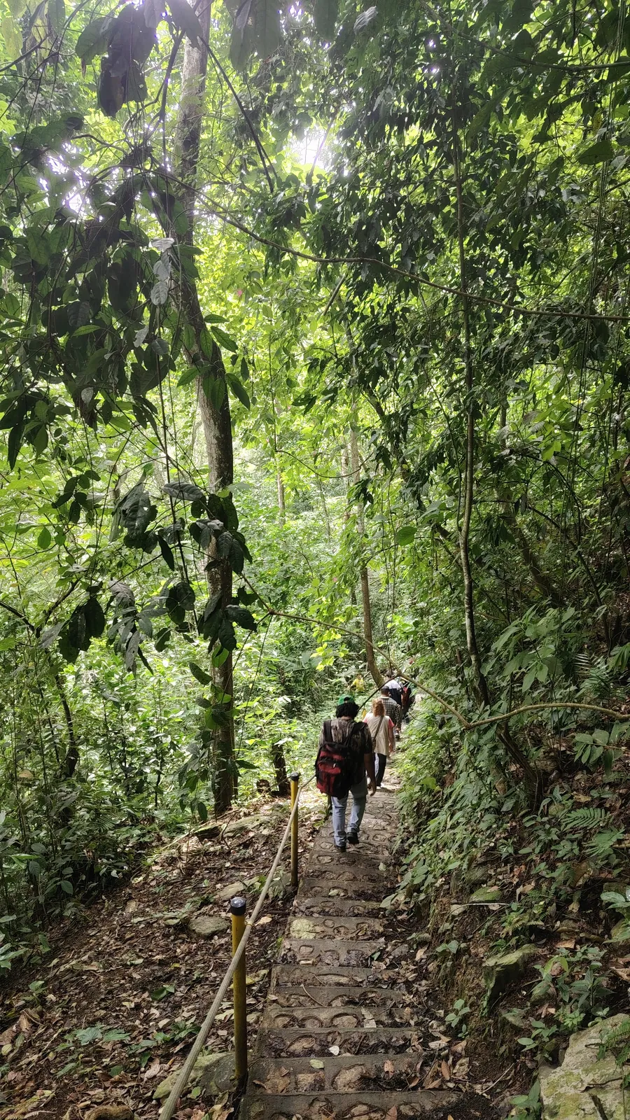 Sendero Ecologico